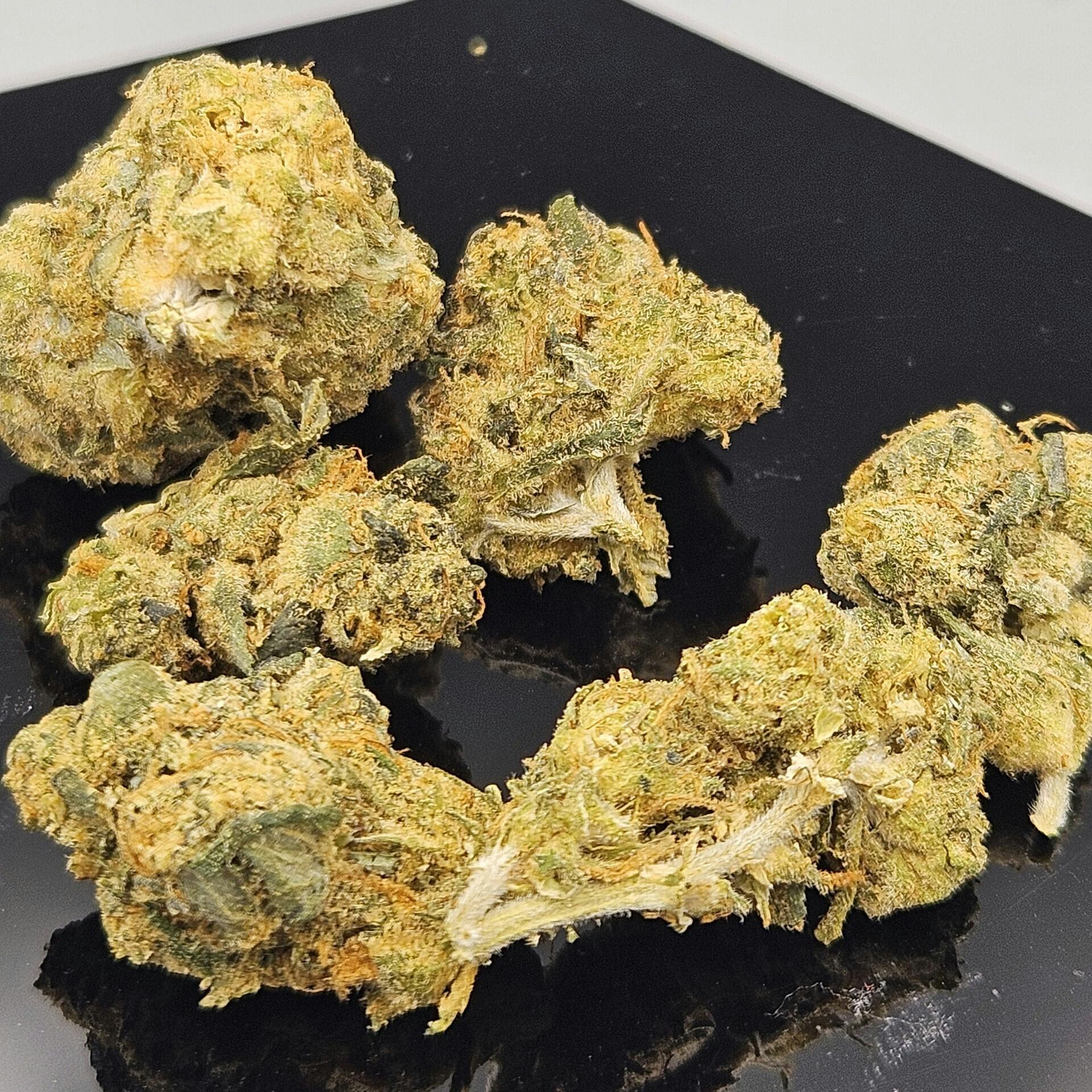 Mai Tai | Pre-Packed Buds | 21.8% | 28g | H