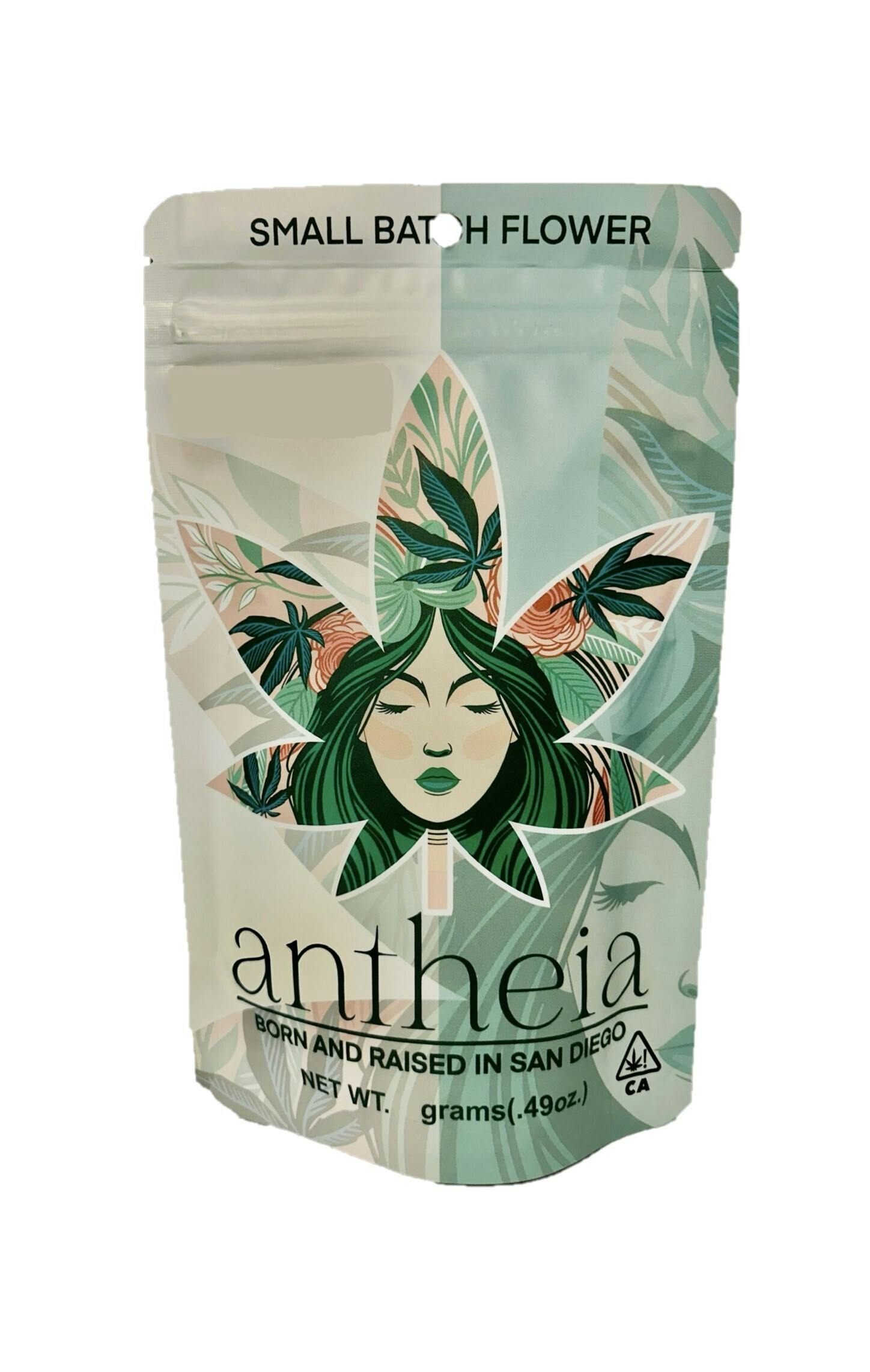 Antheia: Chair 9 Summit