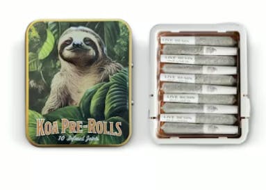 KOA — Apples & Bananas