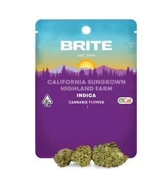 Brite — Gelato