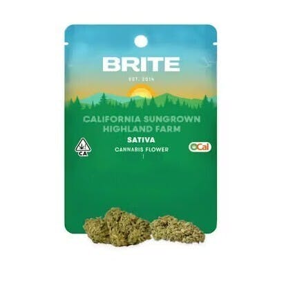 Brite — Sour Tangie