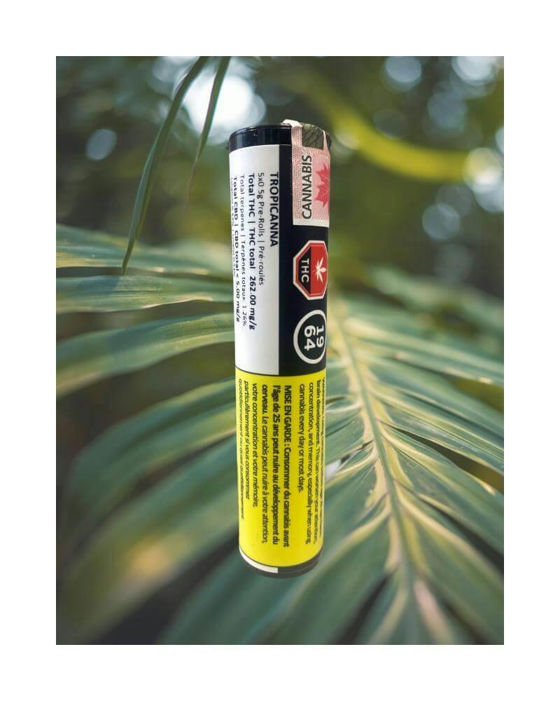 Tropicanna Pre-Rolls | 5 x 0.5g
