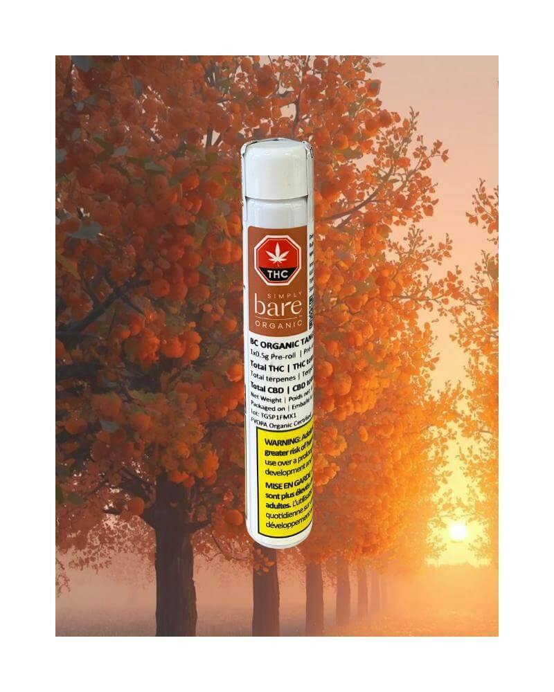 BC Organic Tangerine Sunrise Pre-Roll | 1 x 0.5g
