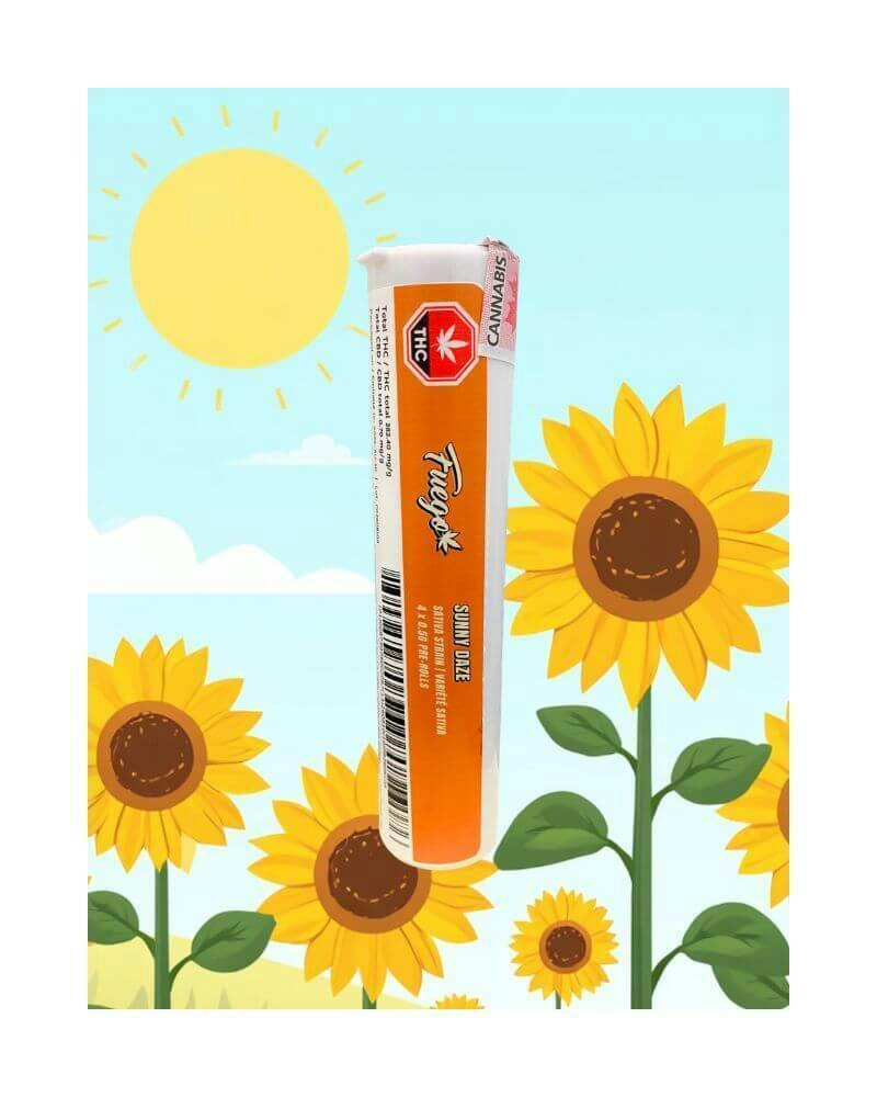 Sunny Daze Pre-Rolls | 4 x 0.5g