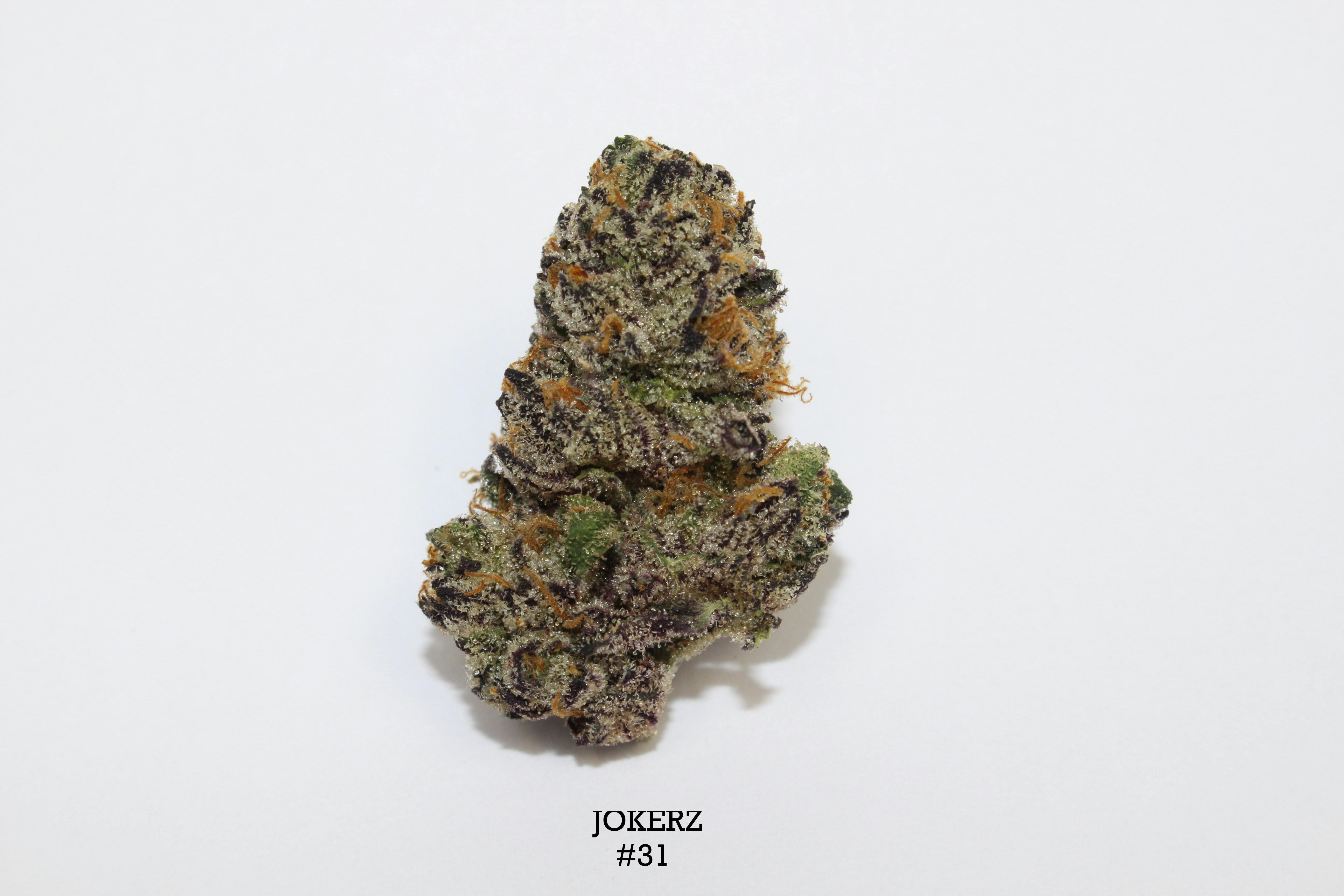 Roemer Farms - Jokerz 31 (I) - 28.06% - Flower