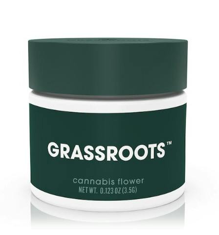 Grassroots - Wild Garlic (I) - Flower