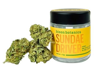 Bison Botanics - Sundae Driver (H) - Flower