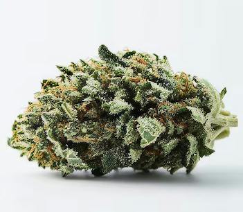 HIGH GRADE | DELI FLOWER | GARY SATAN