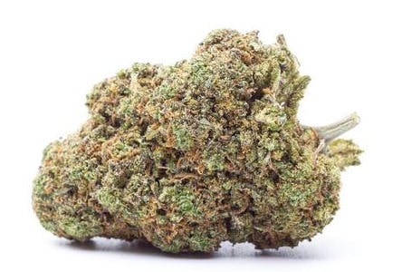 OAK CANNA | DELI FLOWER | GORILLA GLUE #4 | $8/G cannabis product