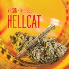 GRASSHOPPER | 1G INFUSED PRE-ROLL | HELL CAT cannabis product