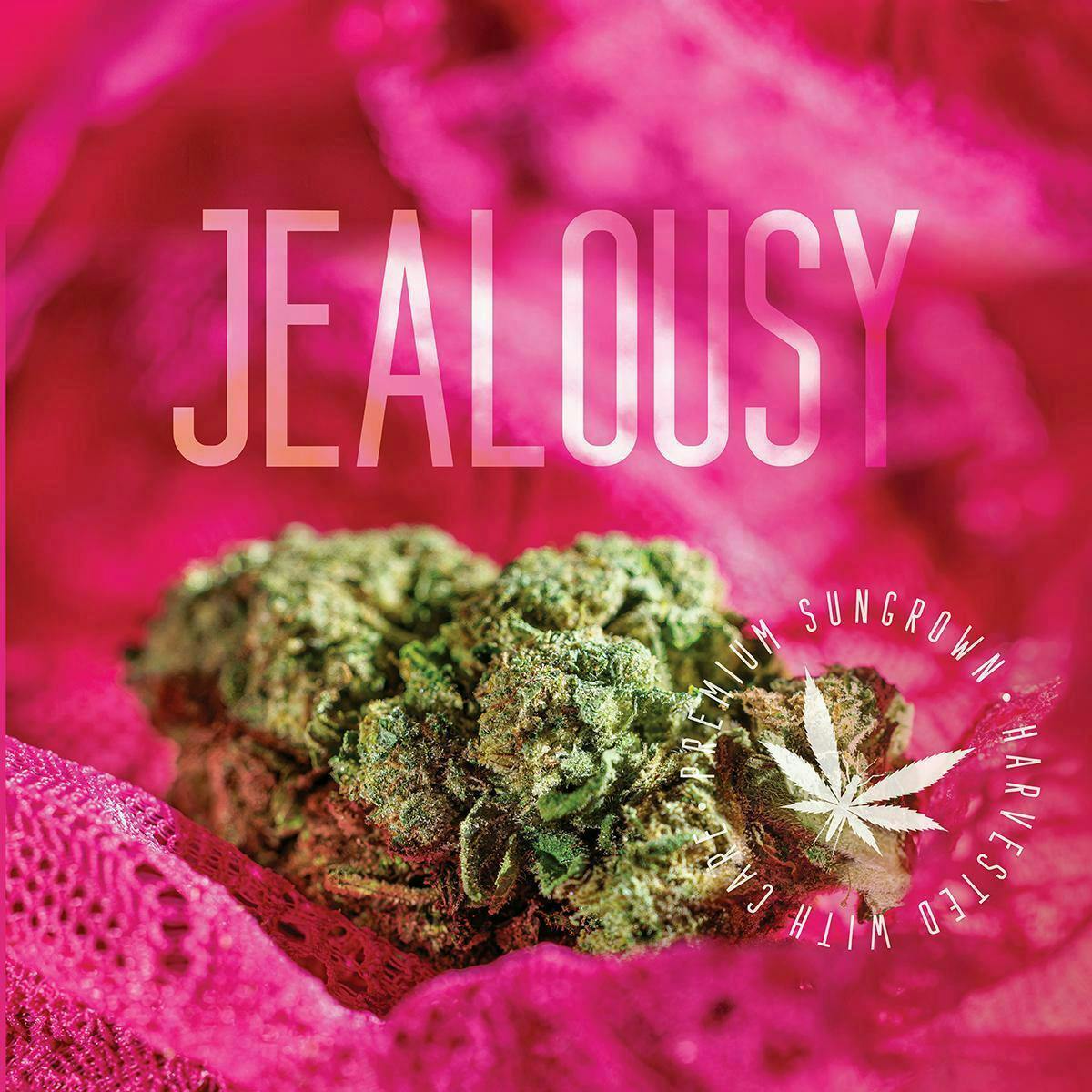GRASSHOPPER | 1G INFUSED PRE-ROLL | JELOUSY cannabis product