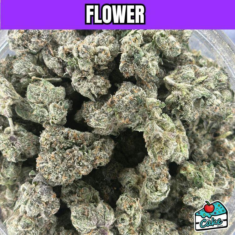 Gus's Real Exotics | Stoned Island
