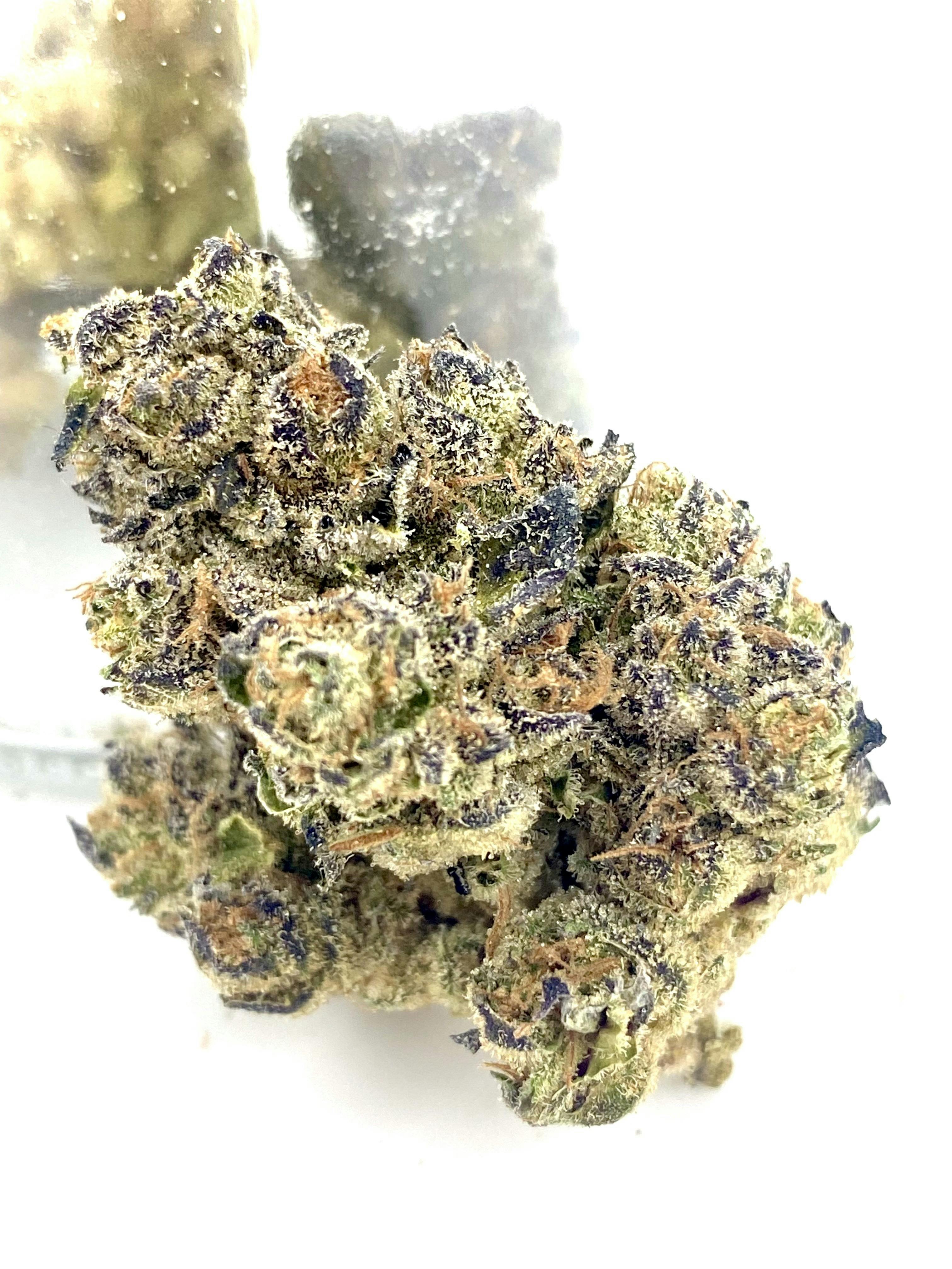 FIG FARMS - — Koala Crack