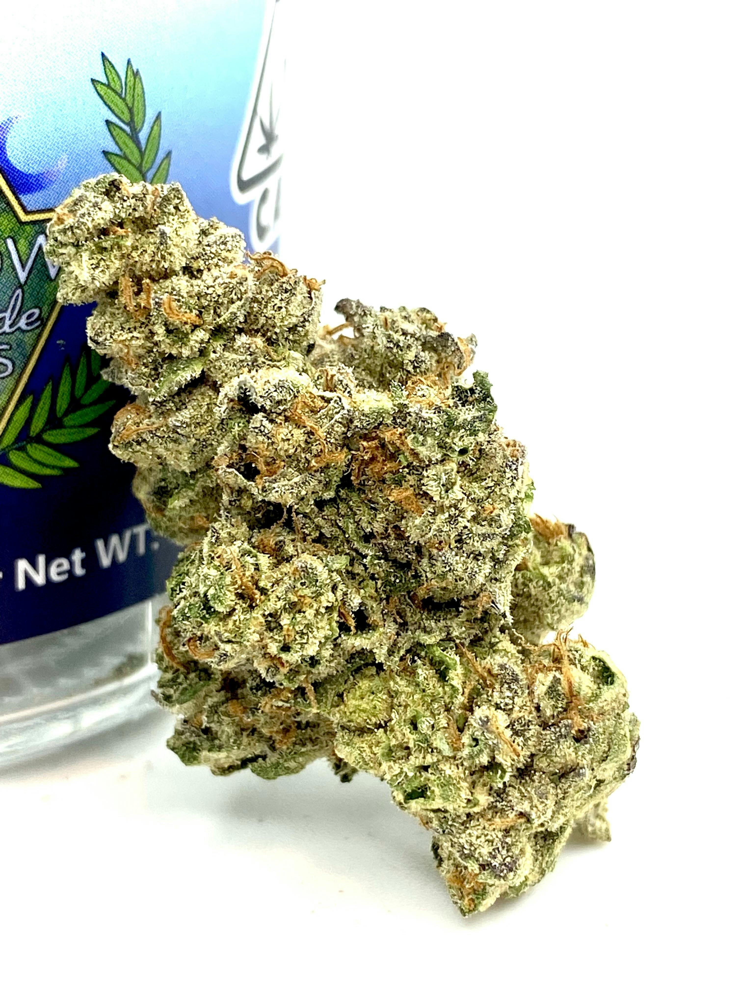 Willow Creekside: Tangie Cookies