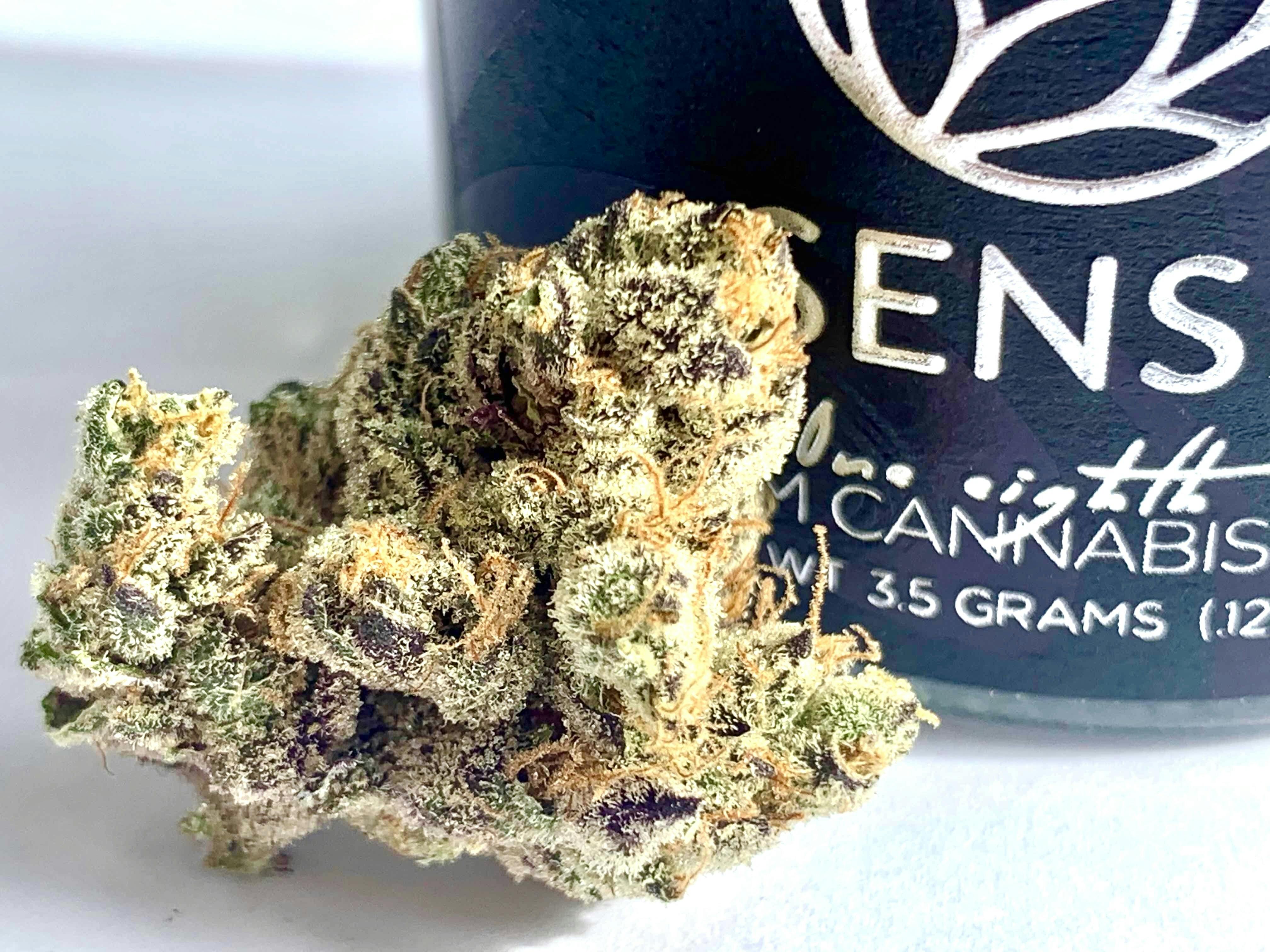 SENSE - GMO - 3.5g