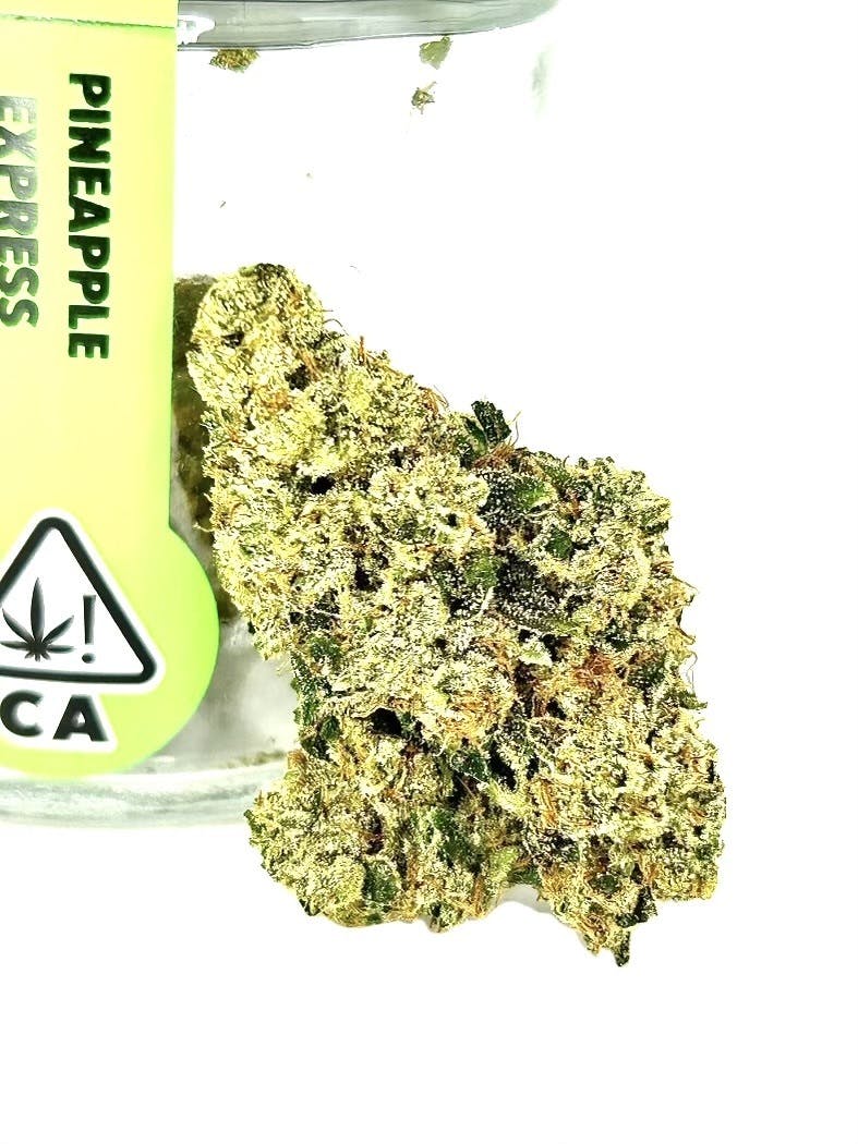 UpNorth - Pineapple — Express