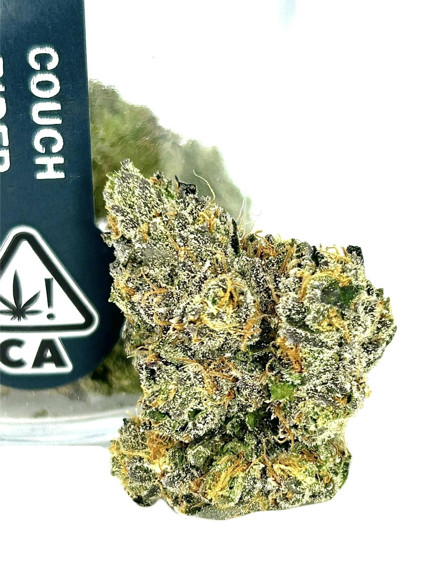 FIG FARMS - — Couch Rider