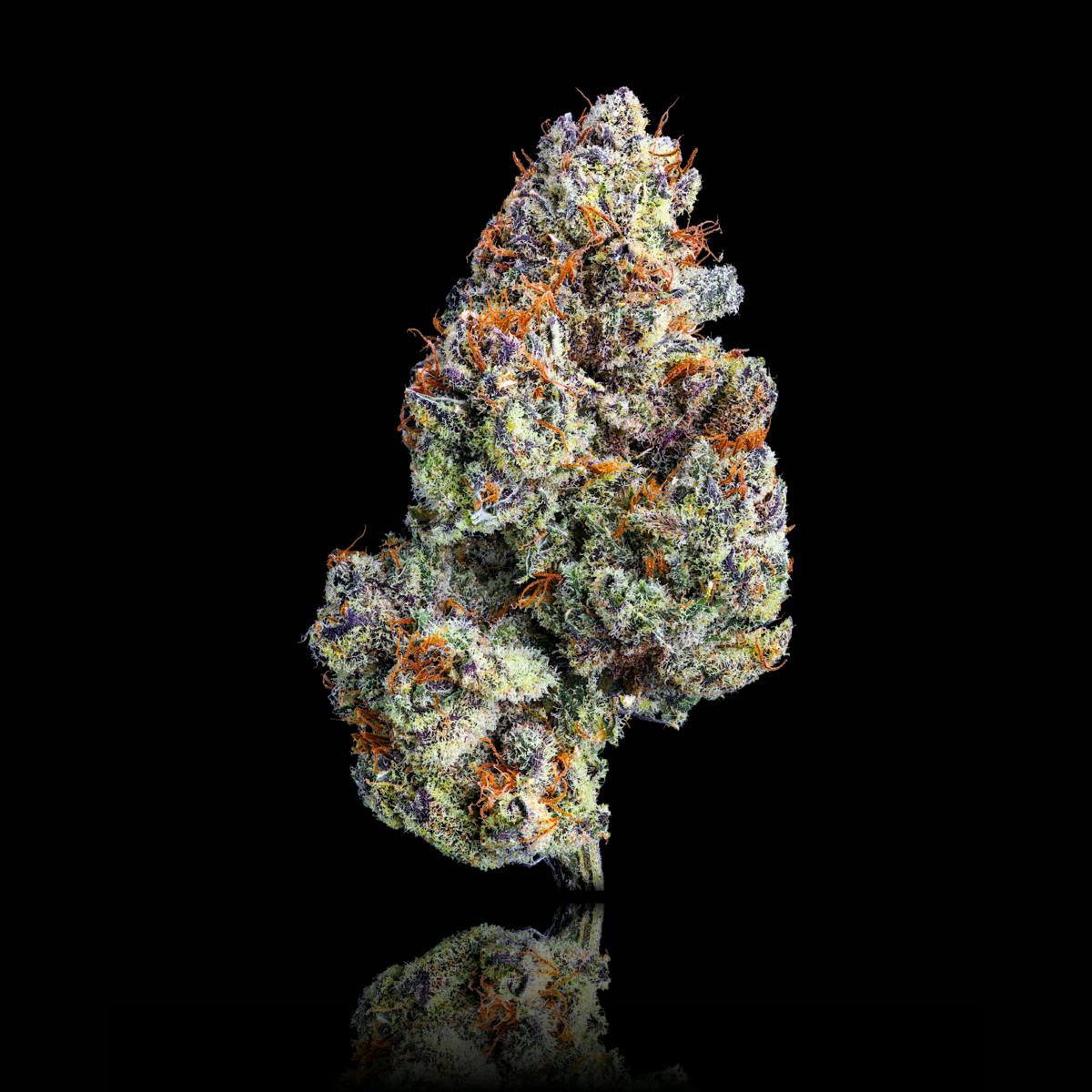 MAVEN - Zuzu: Berry