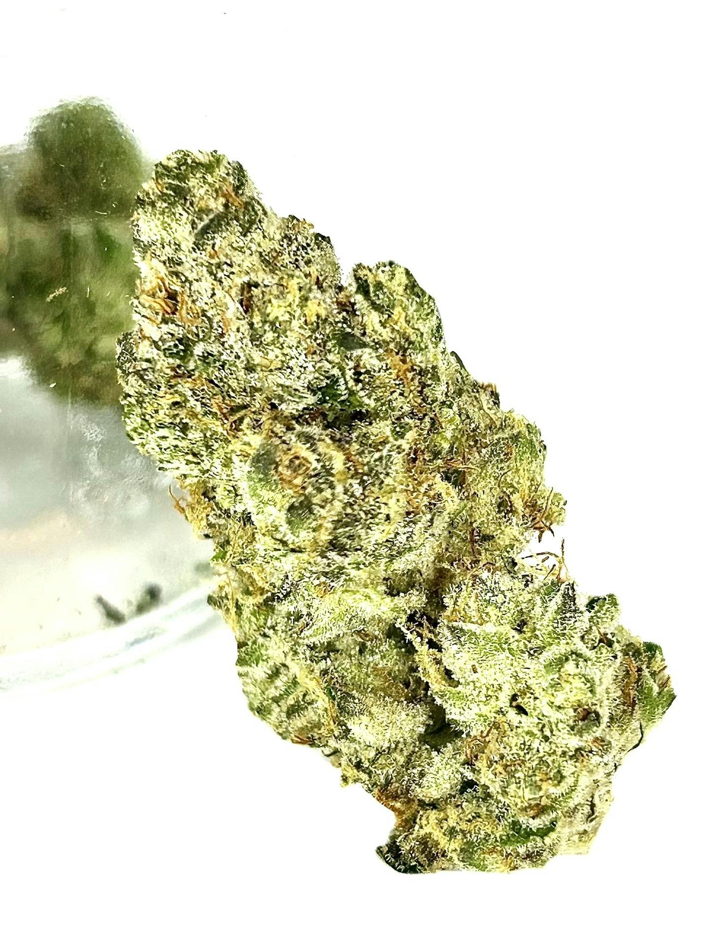 UPNORTH - Blue Diesel - 3.5g