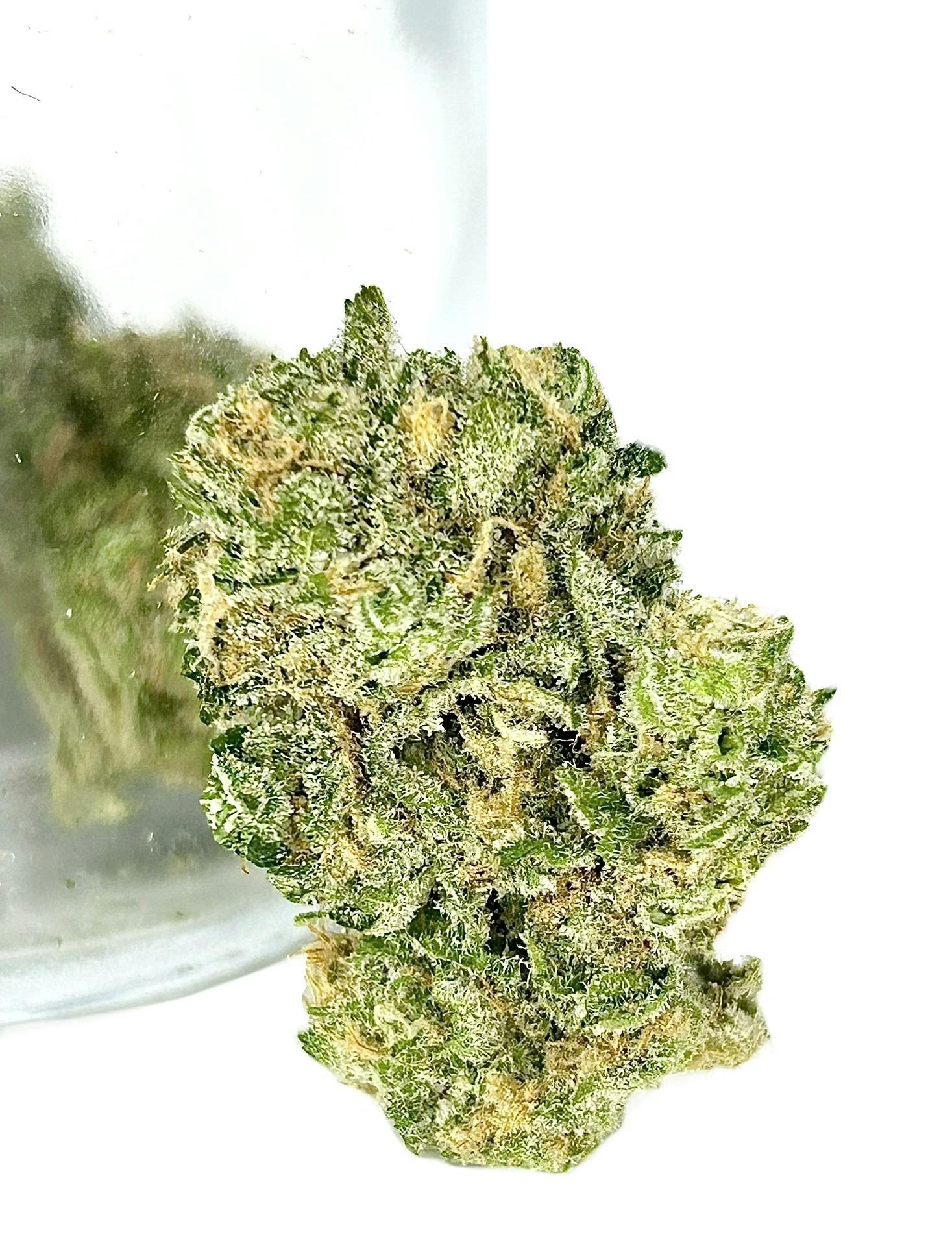 UPNORTH - Blue Dream - 3.5g