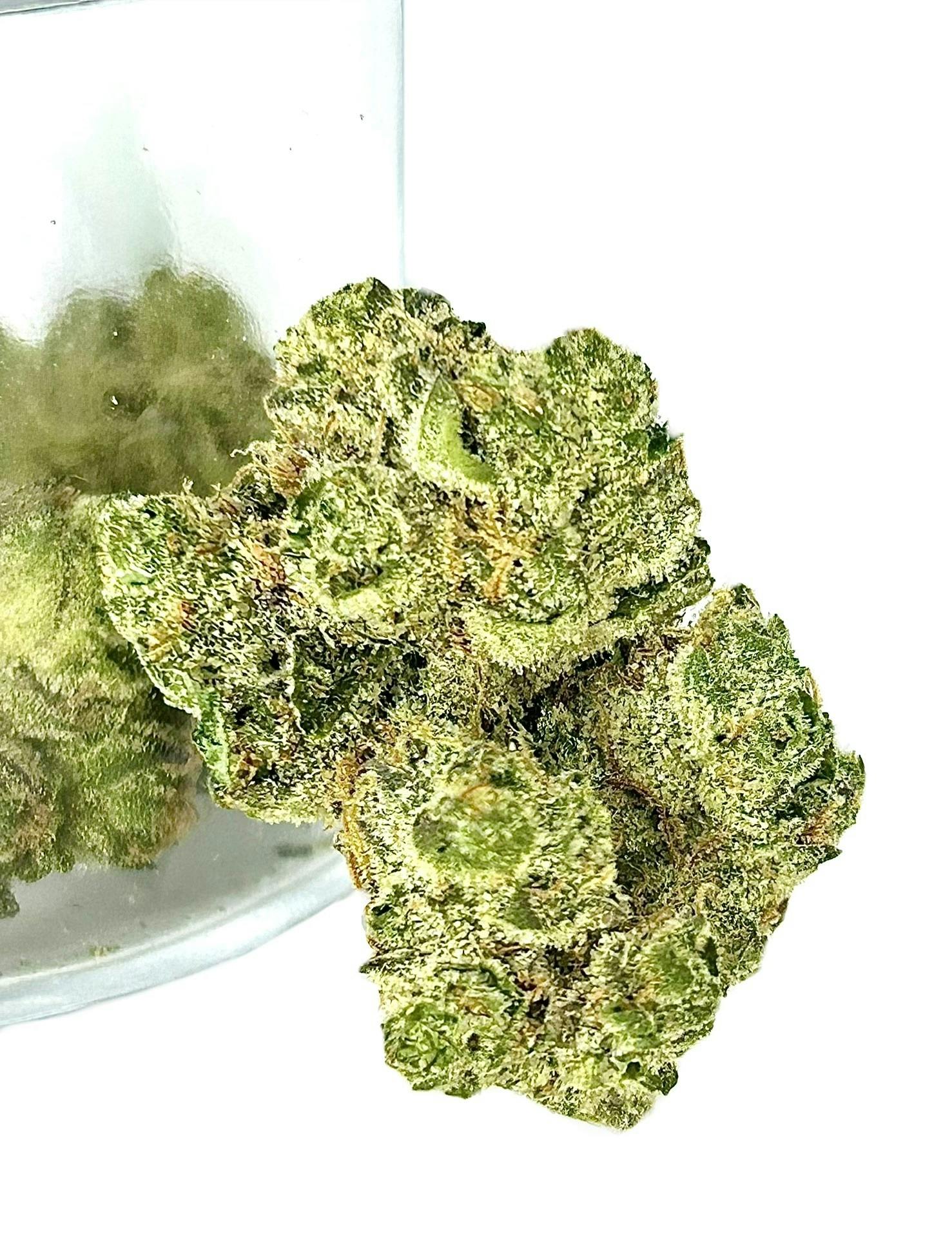 UpNorth: Cherry Pie