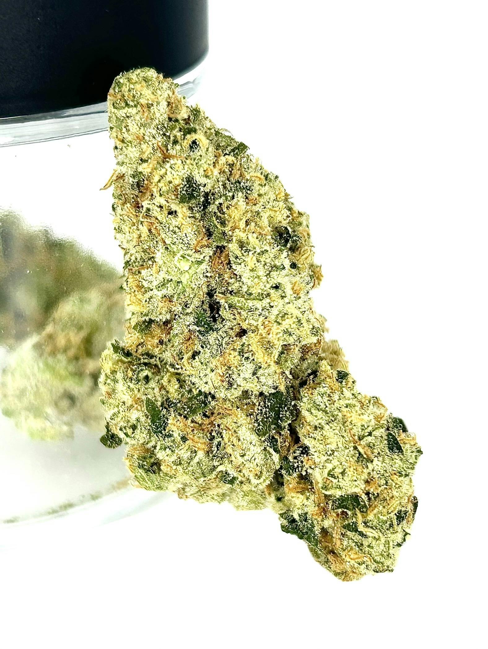 UpNorth: Acapulco Gold