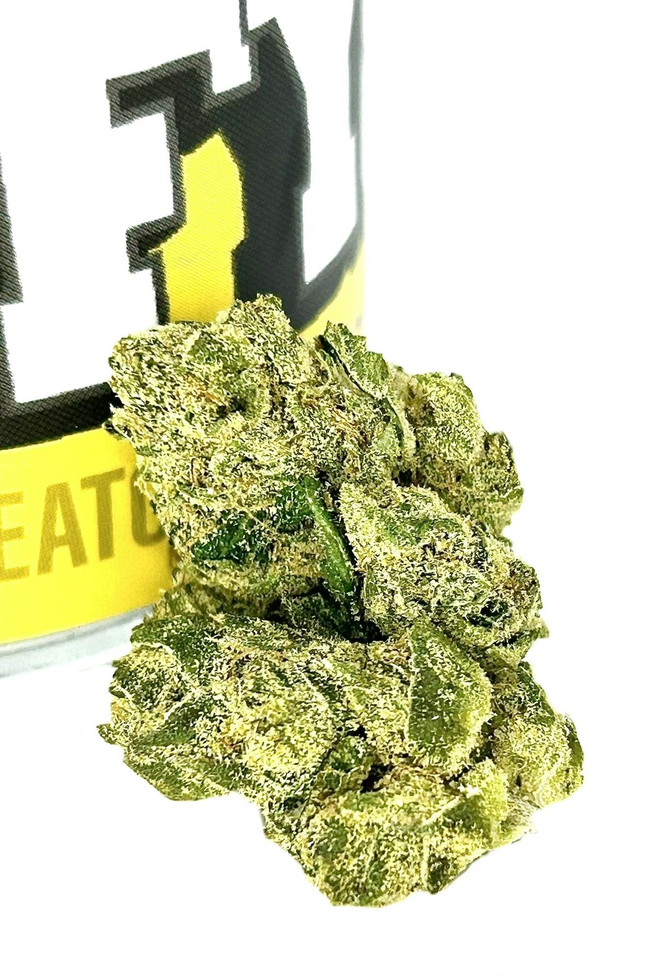 Duffy Jack Herer