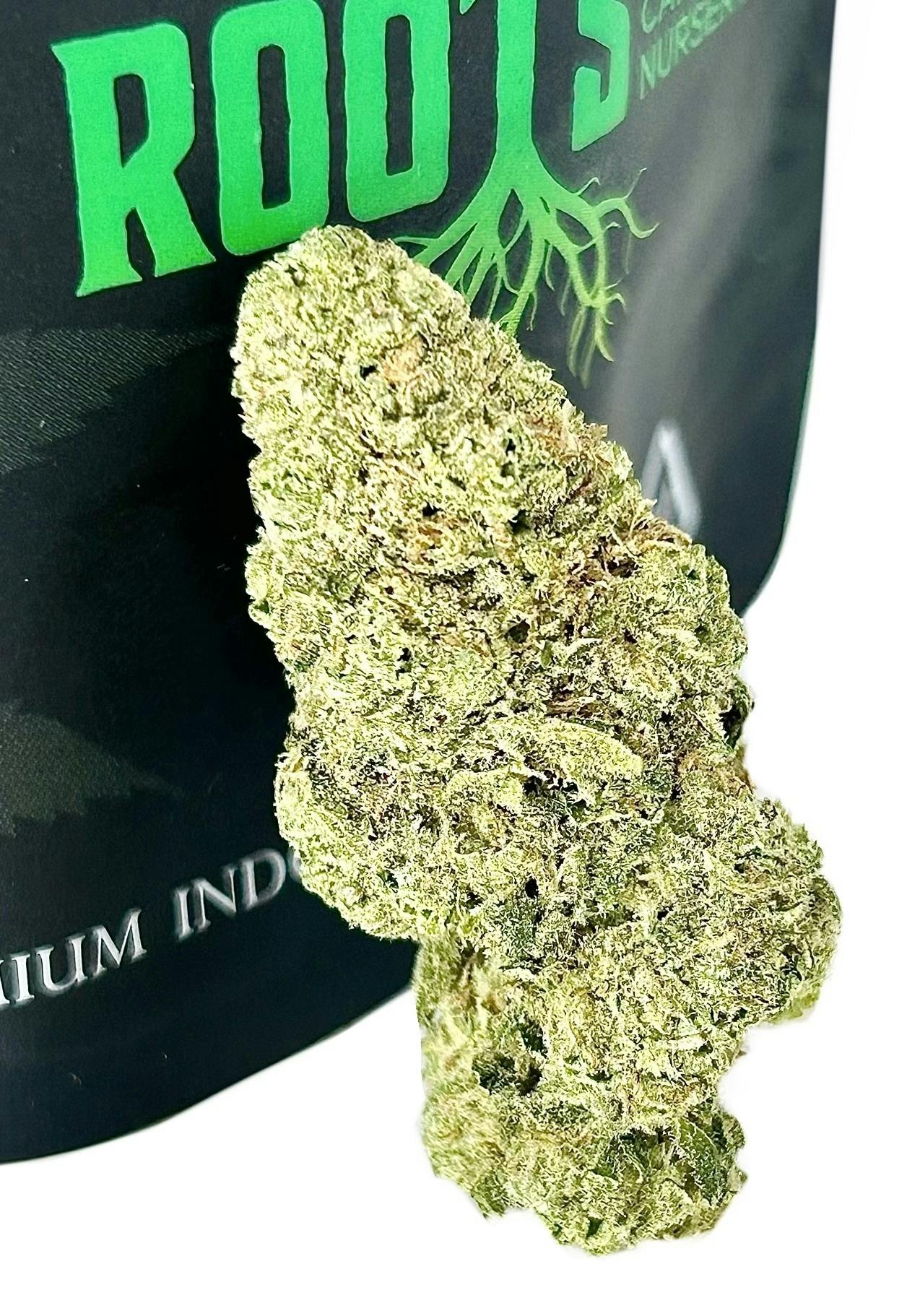 SUITE SUCCESS - 91 Super Skunk - 3.5g