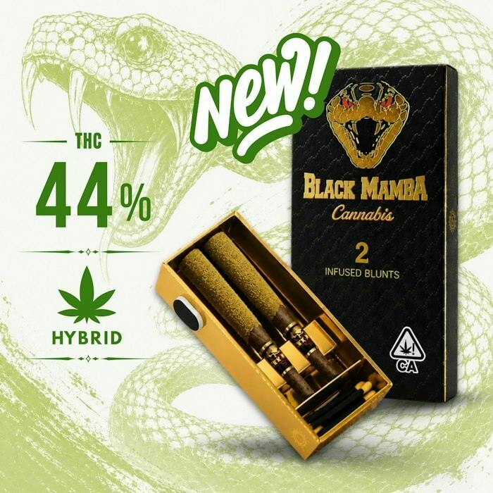 BLACK MAMBA - Gorilla #4 - 2pk x 1.2g = 2.4g, INFUSED BLUNTS!