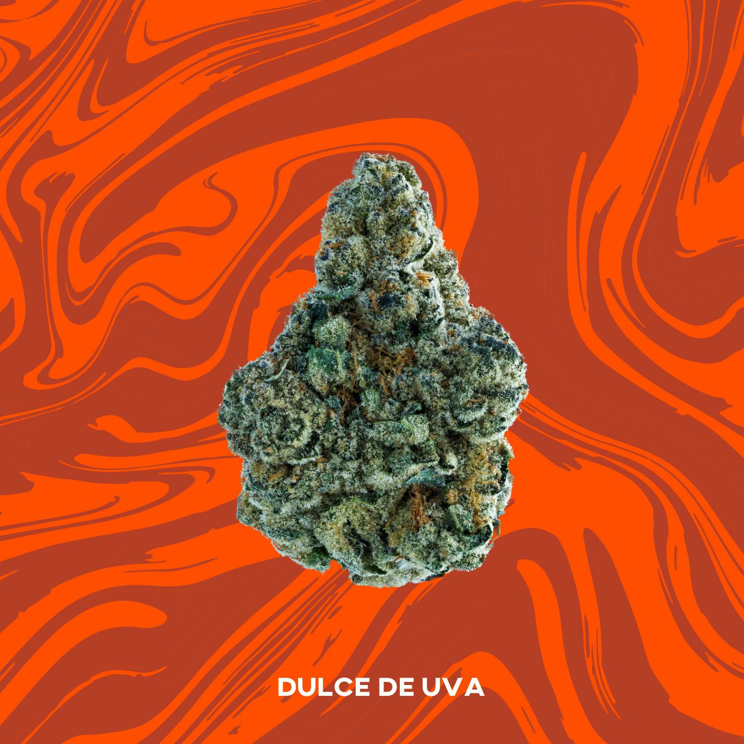 Vivid: Dulce De Uva