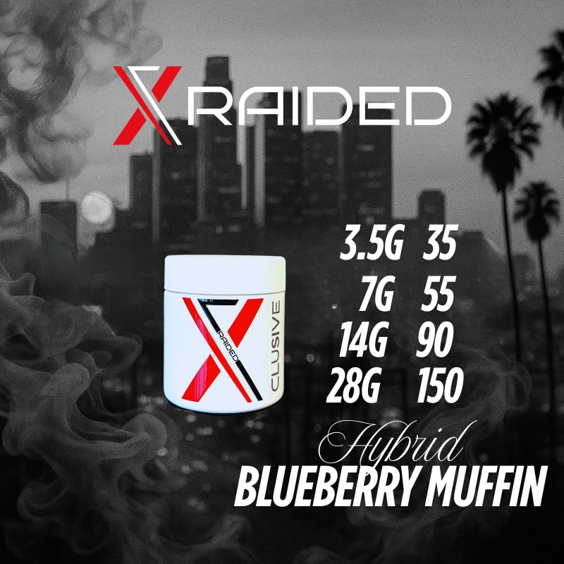 Xraided Blueberry Muffin 7