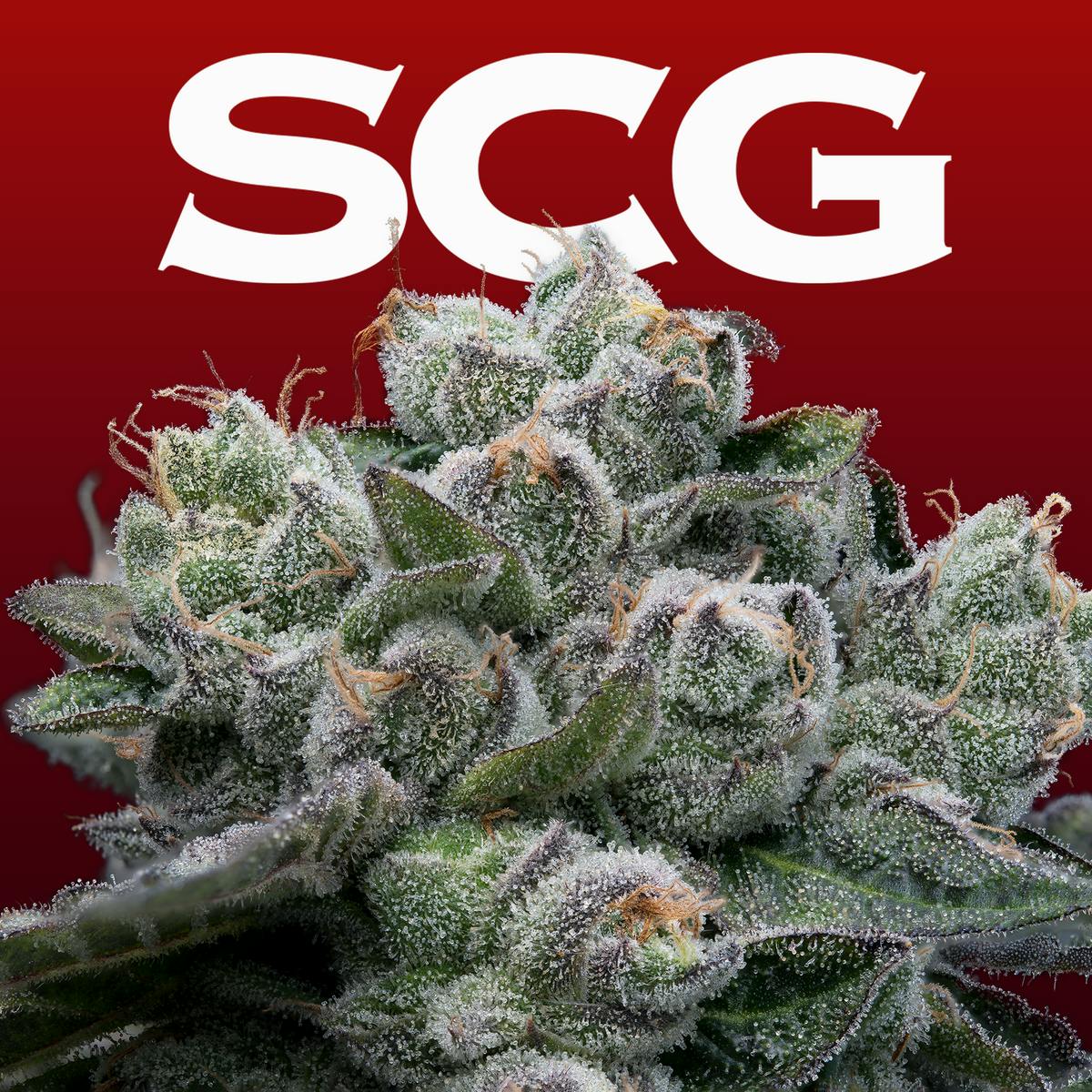Strawberry Cherry Gelato 1 gram Flower Bag