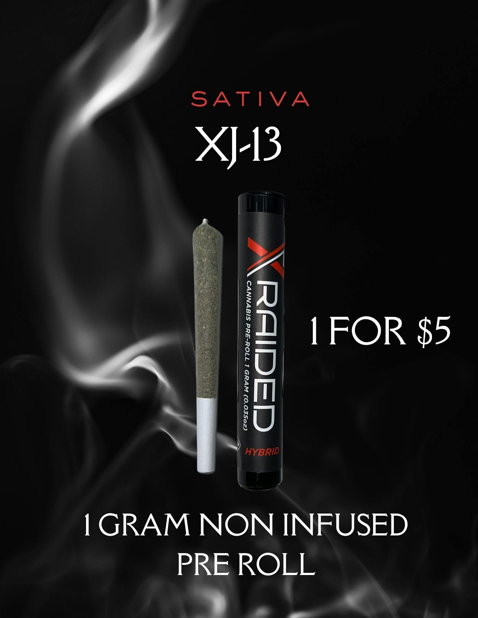 XRAIDED 1G PREROLL - XJ-13