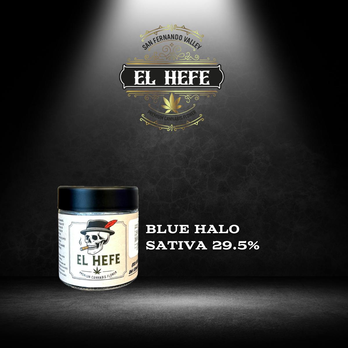 EL HEFE BLUE — Halo