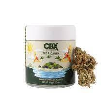 Cannabiotix — Tropicanna