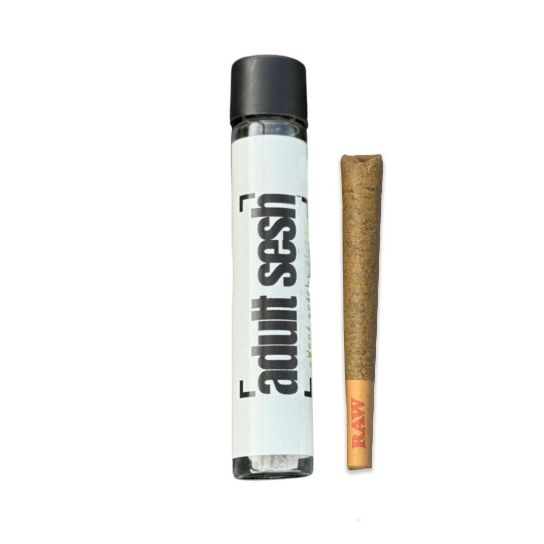 Adult Sesh Slurm