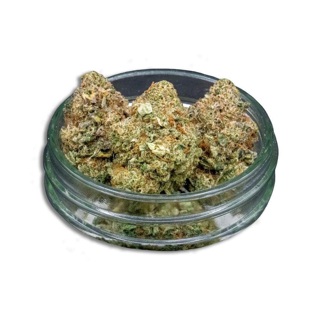 Common Citizen | Hippie Crasher Bulk Flower