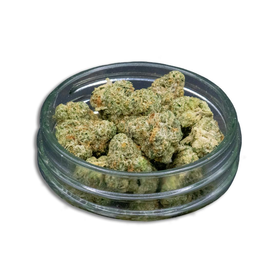 Common Citizen | Jelly Jam Bulk Flower (Smalls)