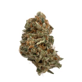 Highbrow | OM4 | Flower
