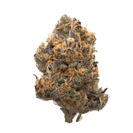 Highbrow | Cookies & Cream | Flower