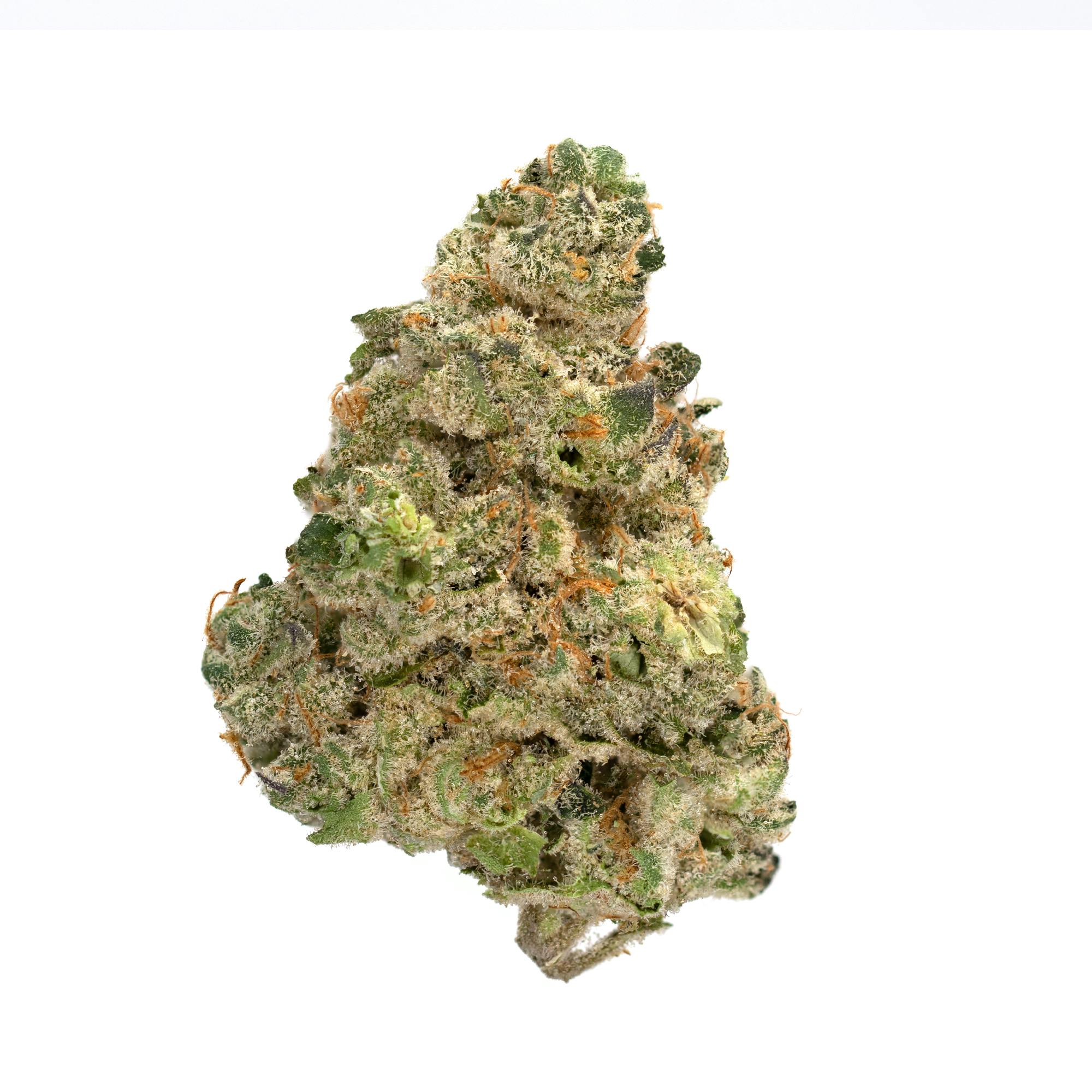 8ths | Cozy | Flower | 3.5g. at Highbrow