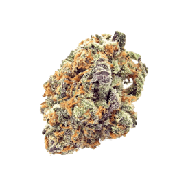 Mimosa