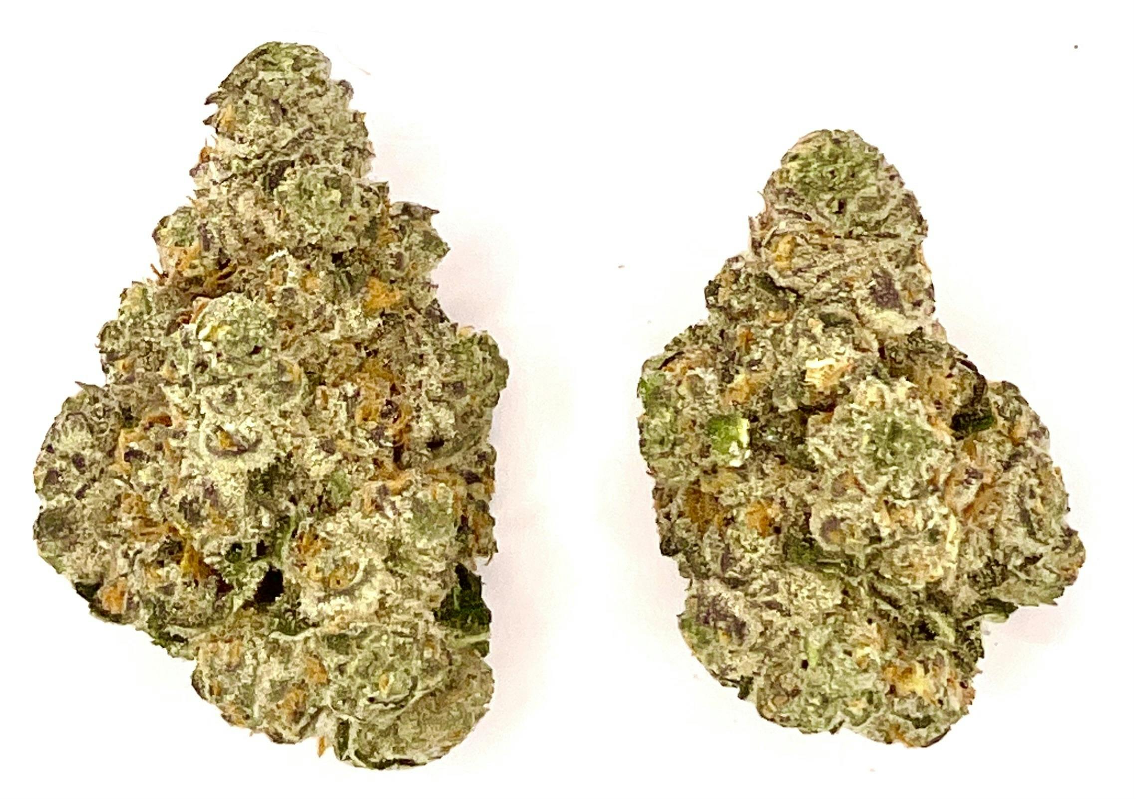 Buds | Gas Basket at Montana Kush - Helena Dispensary
