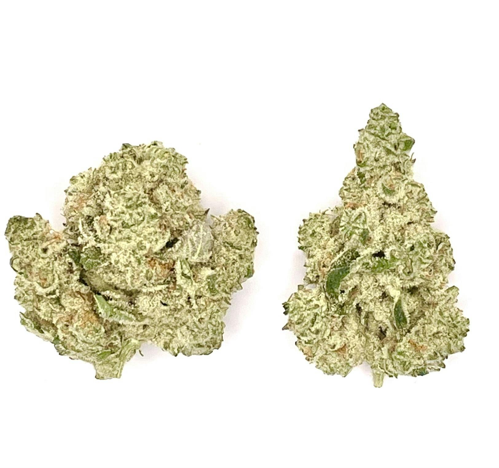 Buds | Cap Junky