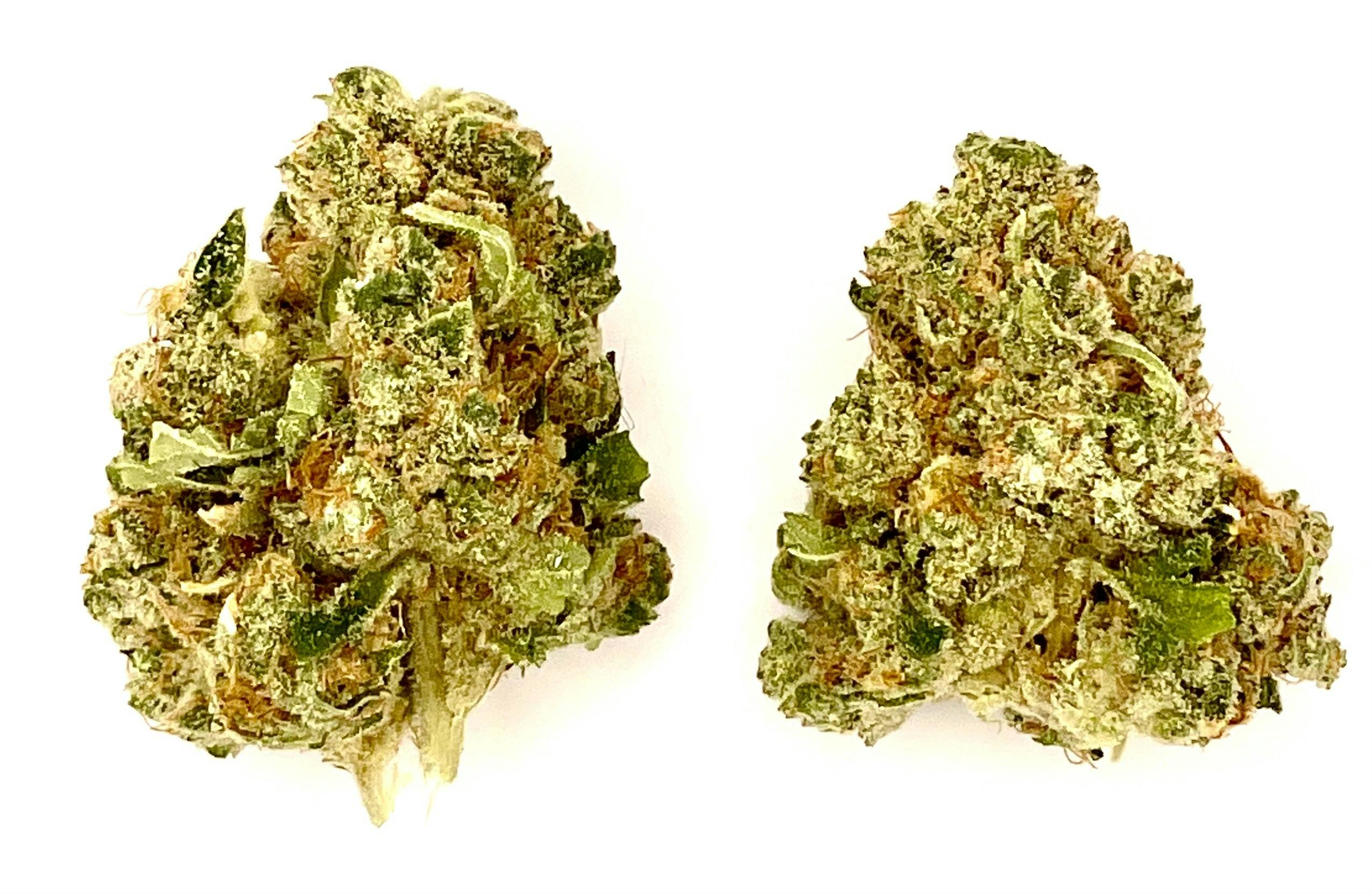 Buds | Sour Tangie