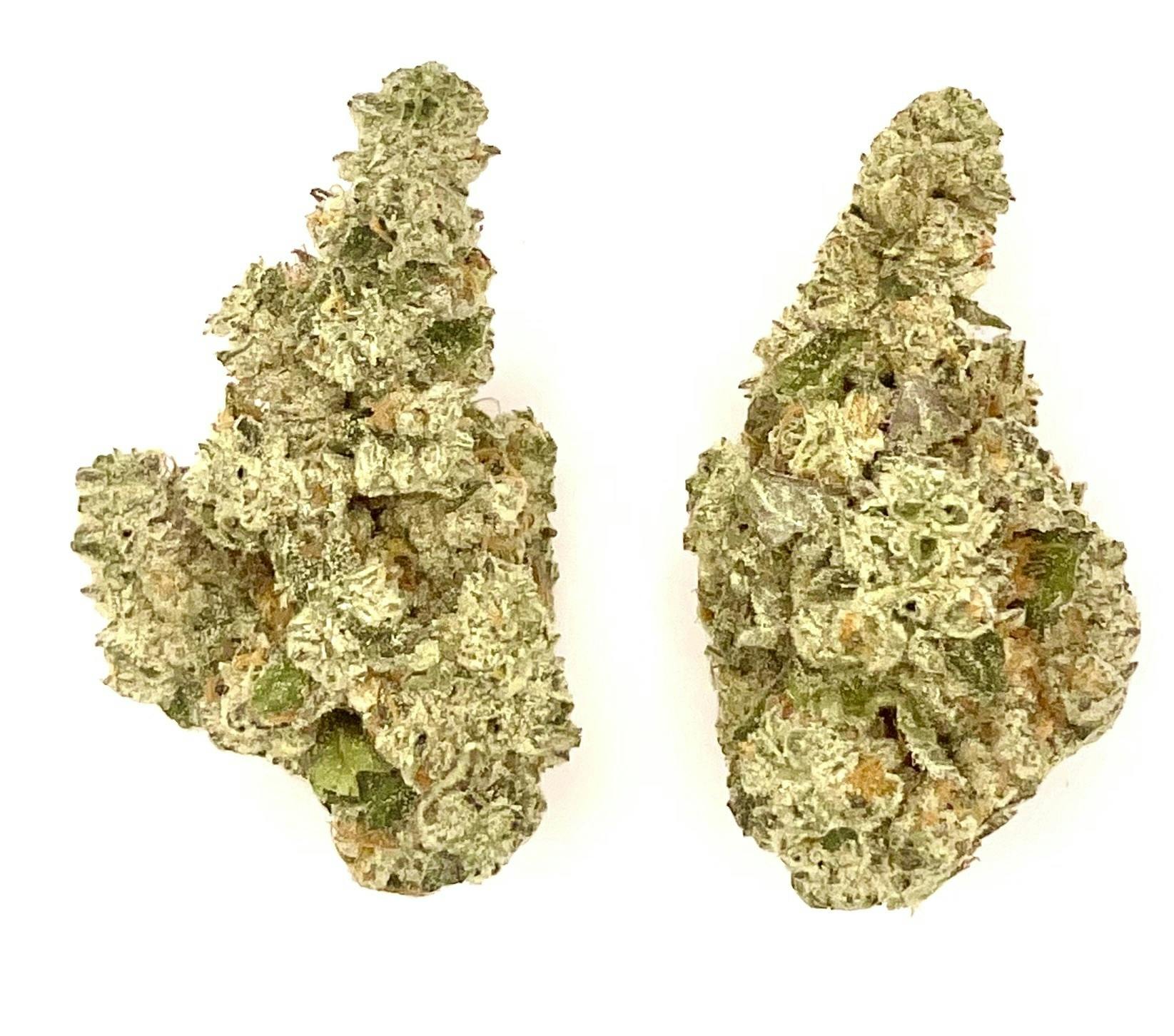 Buds | Modified Gas