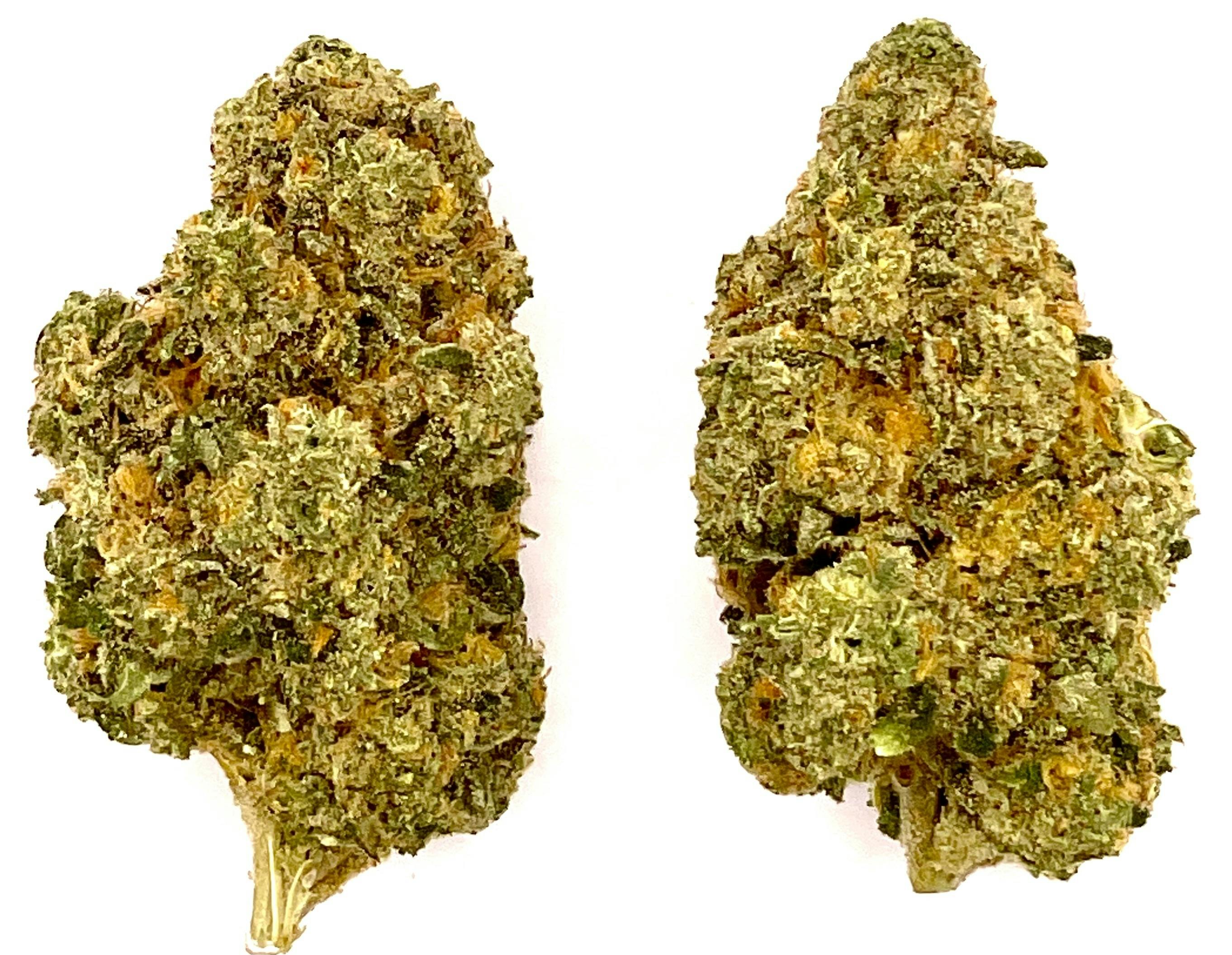 Buds | Zeven Eleven at Montana Kush - Gallatin Gateway Dispensary