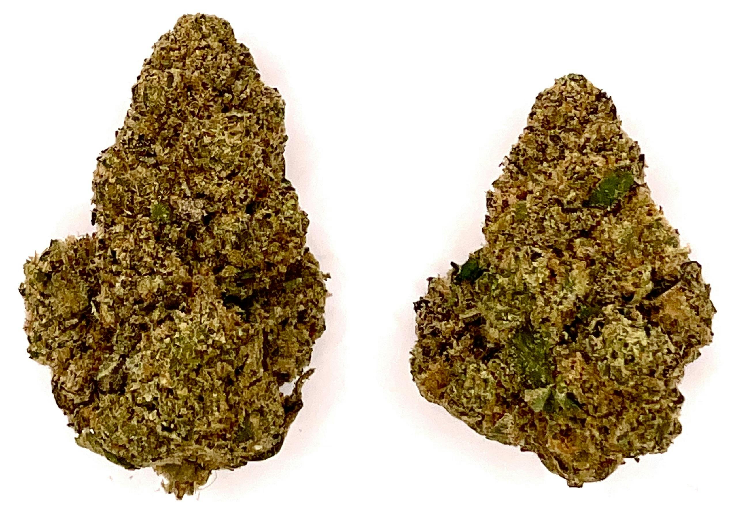 Buds | Rizz Patrol at Montana Kush - Helena Dispensary