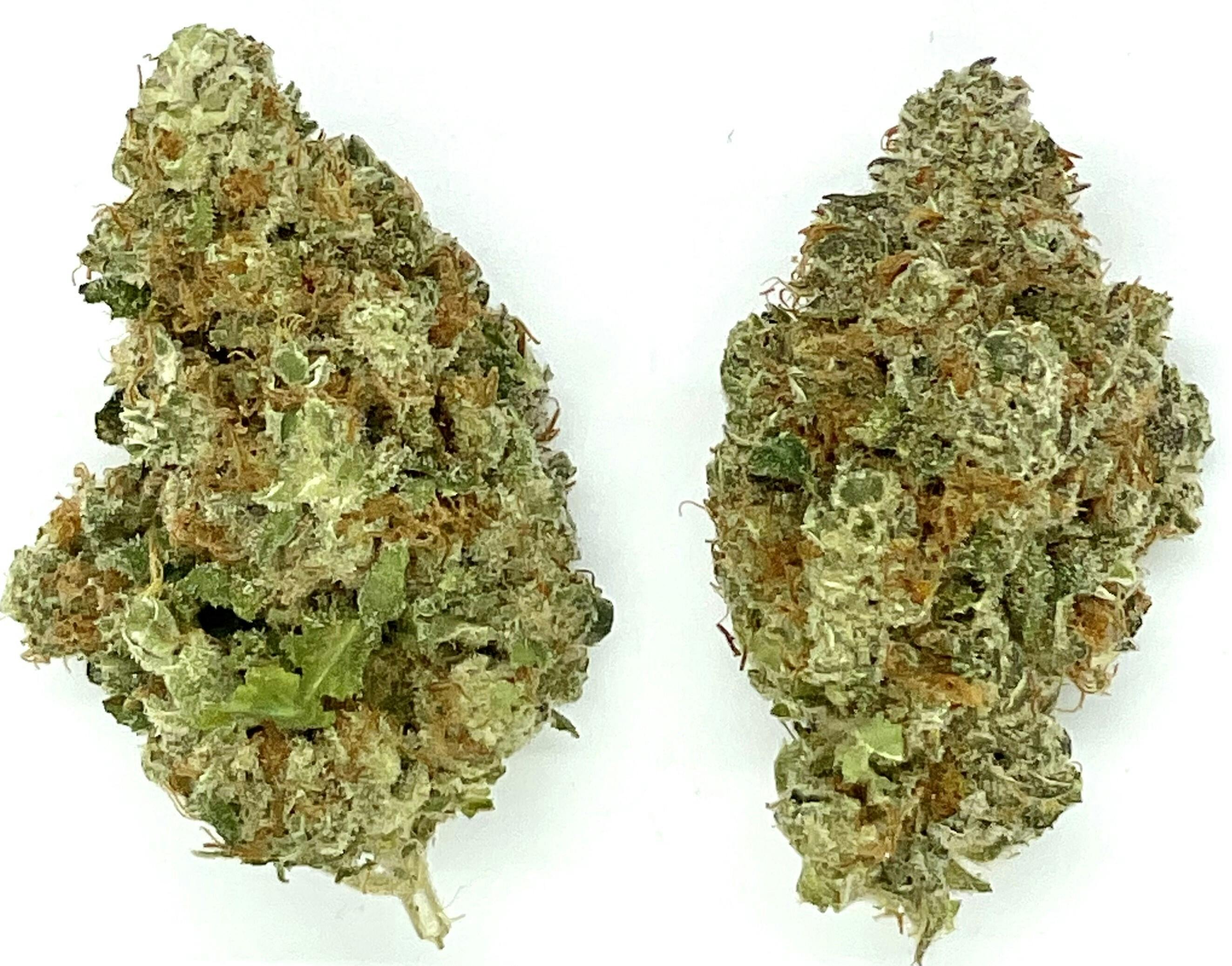 Buds | Alaskan Thunderfuck