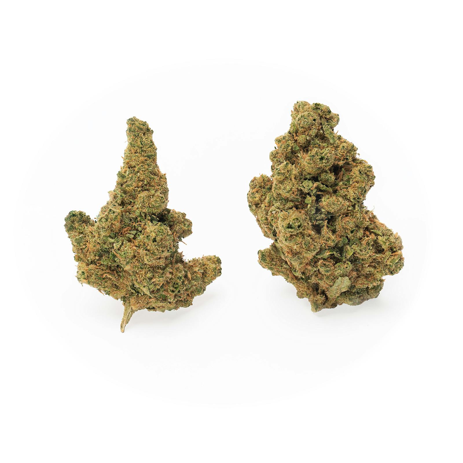 Buds | Maui Wowie at Montana Kush - Gallatin Gateway Dispensary